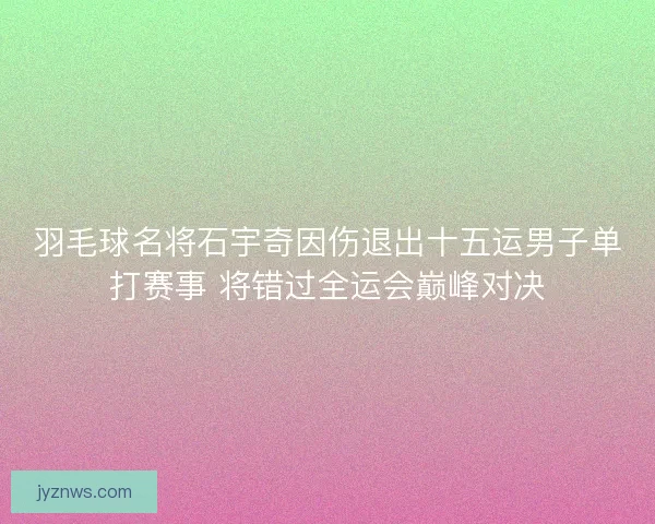 羽毛球名将石宇奇因伤退出十五运男子单打赛事 将错过全运会巅峰对决